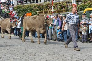 140922Schwyz 222